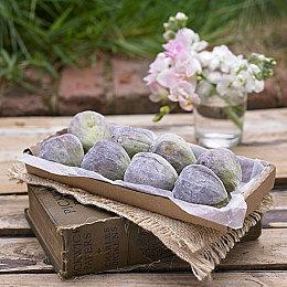 《采石场惊魂》在万圣节前宣布 50年代复古角色服装